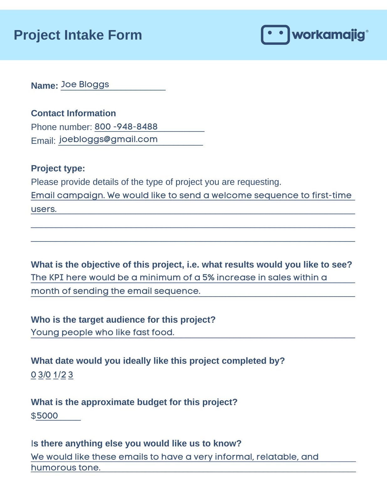 Project Intake Form Explained   Free Template and Examples